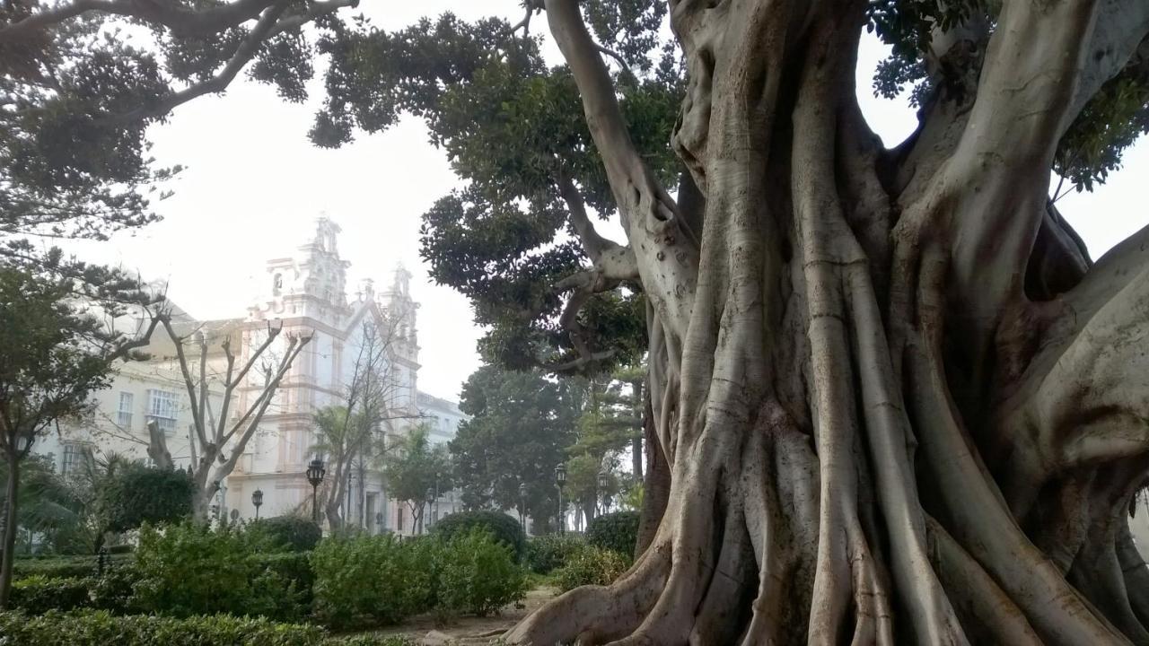 Apartamento "El Nido Del Cuco" Cadice Esterno foto
